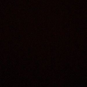 Meet your Posher, Spencer